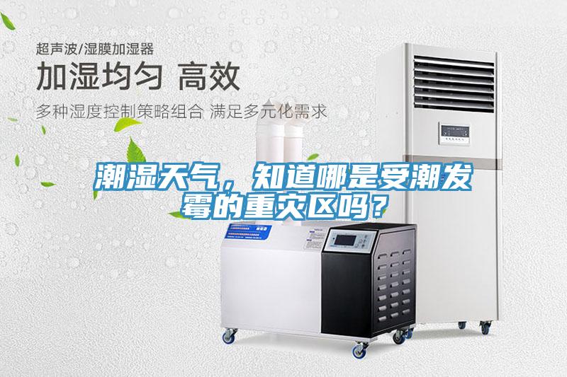 潮濕天氣，知道哪是受潮發(fā)霉的重災(zāi)區(qū)嗎？