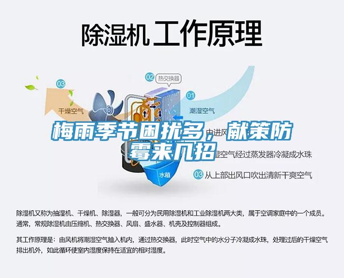 梅雨季節(jié)困擾多，獻(xiàn)策防霉來幾招
