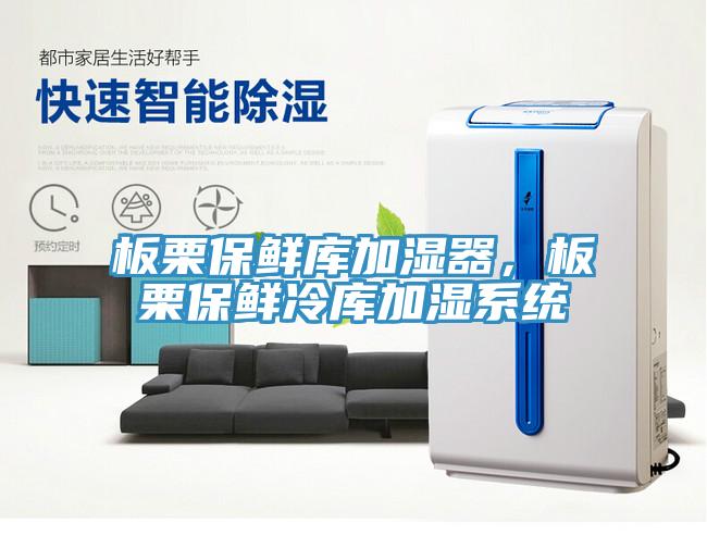 板栗保鮮庫加濕器，板栗保鮮冷庫加濕系統(tǒng)
