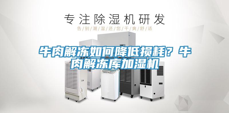 牛肉解凍如何降低損耗？牛肉解凍庫(kù)加濕機(jī)