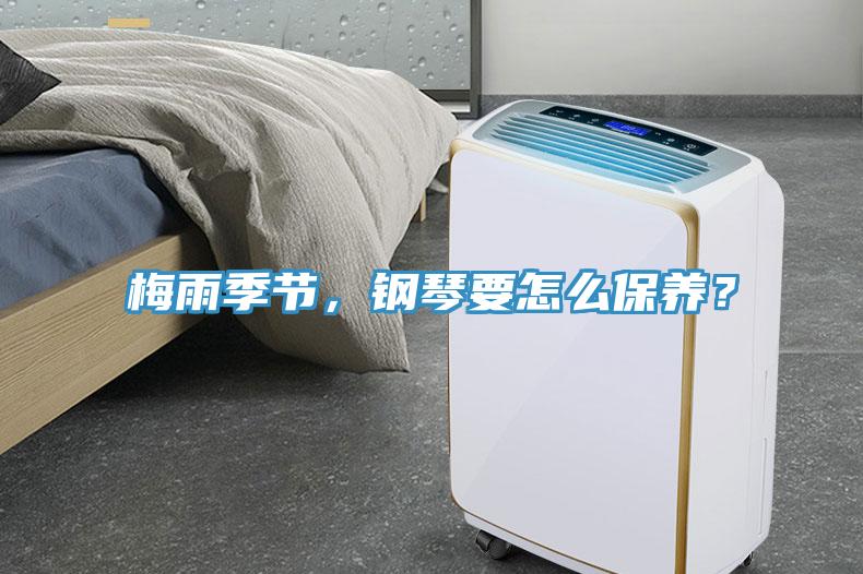 梅雨季節(jié)，鋼琴要怎么保養(yǎng)？