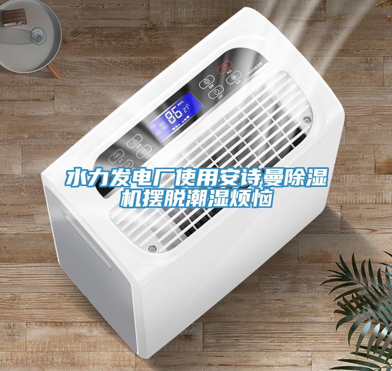 水力發(fā)電廠使用安詩曼除濕機(jī)擺脫潮濕煩惱