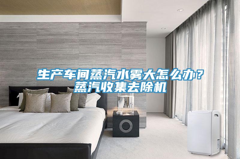生產(chǎn)車間蒸汽水霧大怎么辦？蒸汽收集去除機(jī)