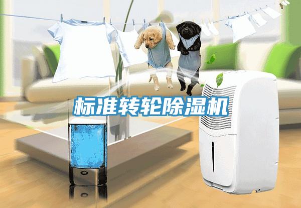 標(biāo)準(zhǔn)轉(zhuǎn)輪除濕機(jī)