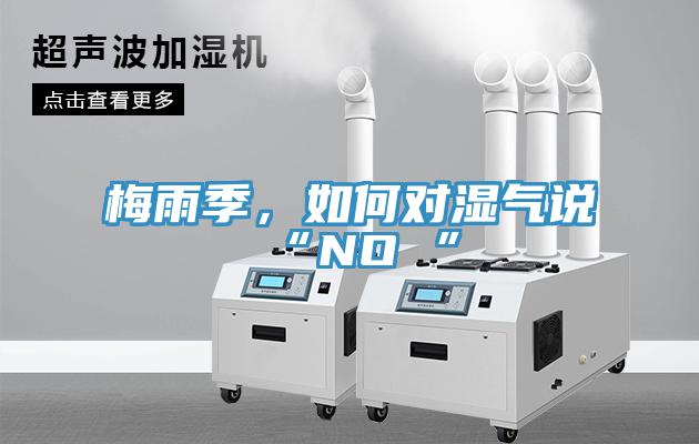 梅雨季，如何對(duì)濕氣說(shuō)“NO ”