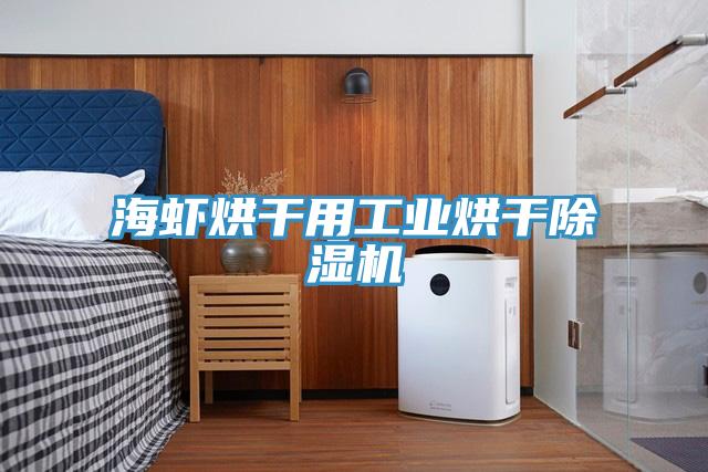 海蝦烘干用工業(yè)烘干除濕機