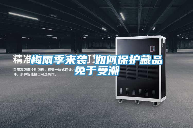 梅雨季來(lái)襲 如何保護(hù)藏品免于受潮