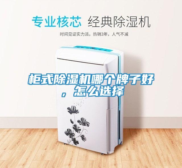 柜式除濕機(jī)哪個(gè)牌子好，怎么選擇