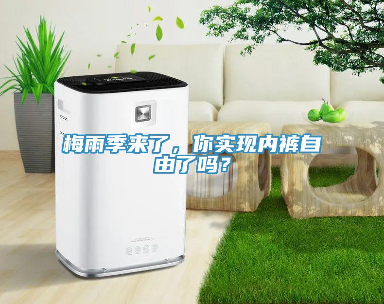 梅雨季來了，你實現(xiàn)內(nèi)褲自由了嗎？