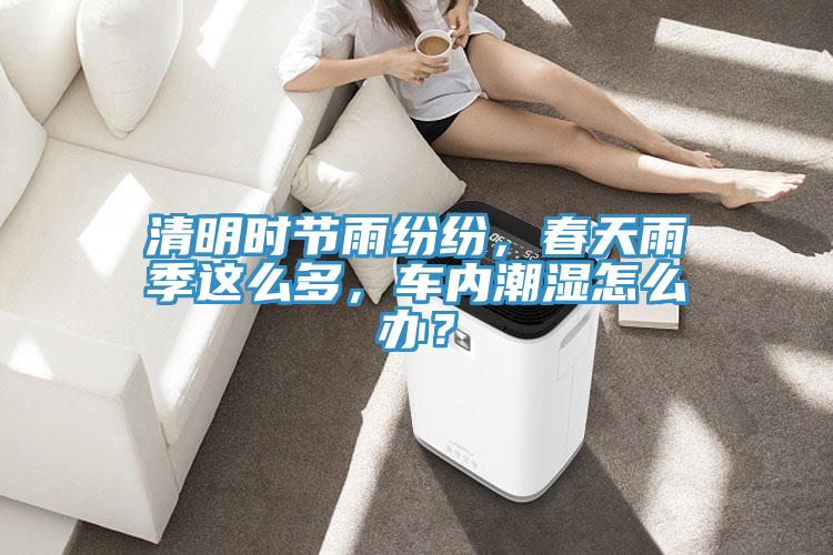 清明時節(jié)雨紛紛，春天雨季這么多，車內(nèi)潮濕怎么辦？