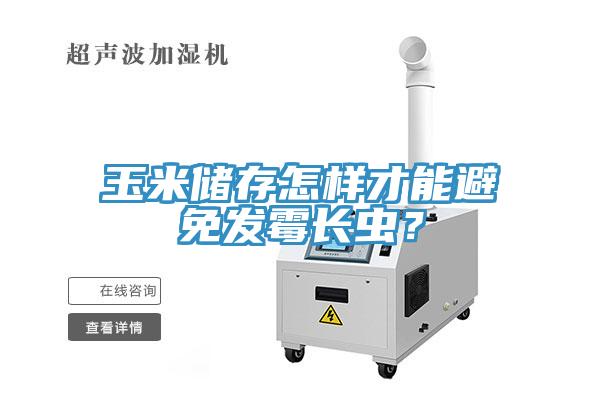 玉米儲(chǔ)存怎樣才能避免發(fā)霉長(zhǎng)蟲(chóng)？