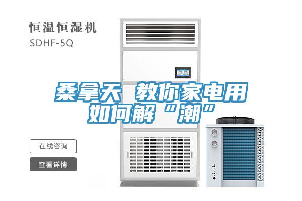 桑拿天 教你家電用如何解“潮”