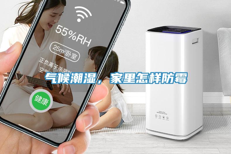 氣候潮濕，家里怎樣防霉