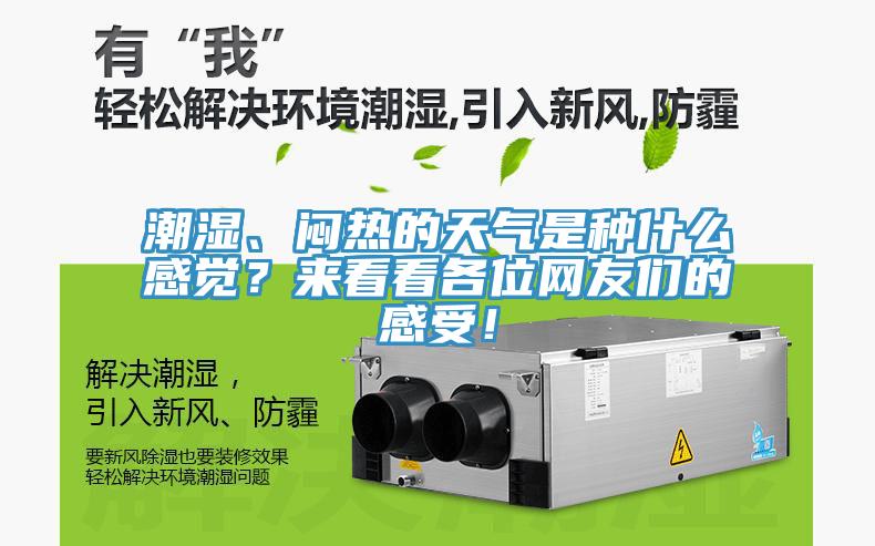 潮濕、悶熱的天氣是種什么感覺？來看看各位網(wǎng)友們的感受！