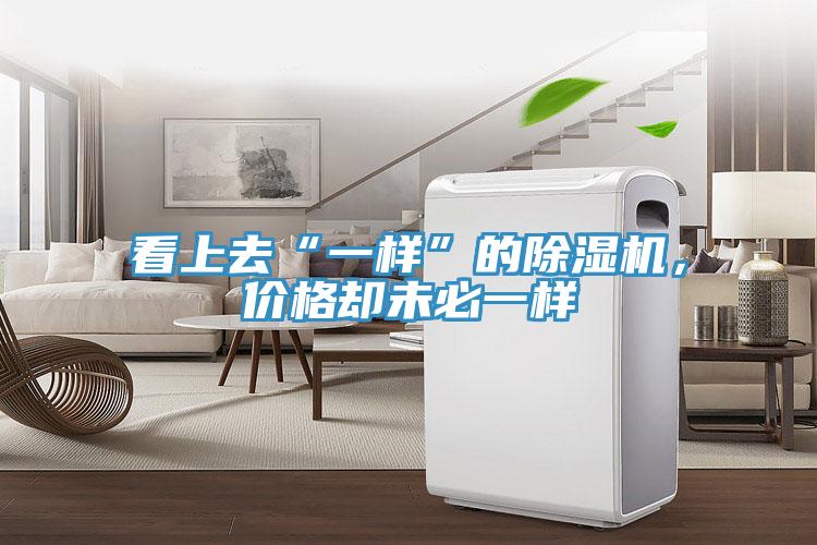 看上去“一樣”的除濕機(jī)，價(jià)格卻未必一樣