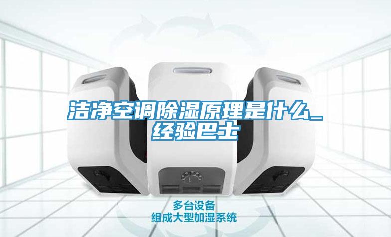 潔凈空調(diào)除濕原理是什么_經(jīng)驗巴士