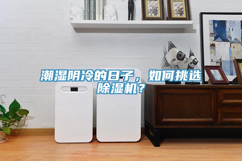 潮濕陰冷的日子，如何挑選除濕機？