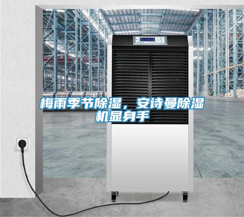 梅雨季節(jié)除濕，安詩曼除濕機(jī)顯身手