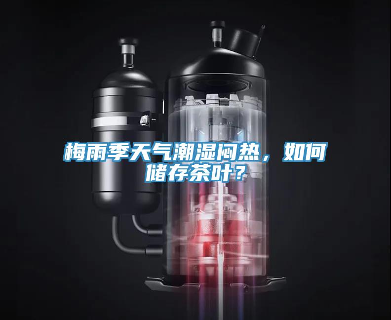 梅雨季天氣潮濕悶熱，如何儲存茶葉？