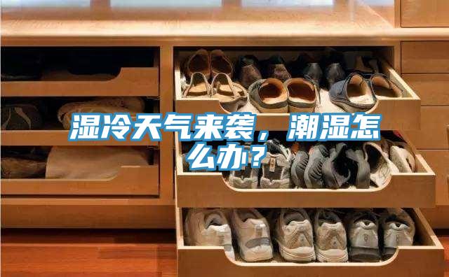 濕冷天氣來襲，潮濕怎么辦？