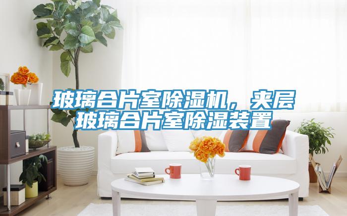 玻璃合片室除濕機，夾層玻璃合片室除濕裝置