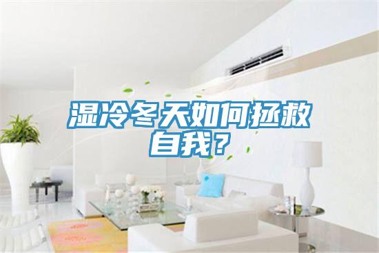 濕冷冬天如何拯救自我？