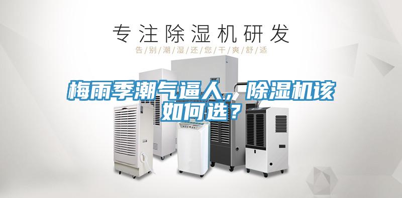 梅雨季潮氣逼人，除濕機該如何選？