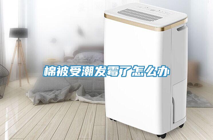 棉被受潮發(fā)霉了怎么辦