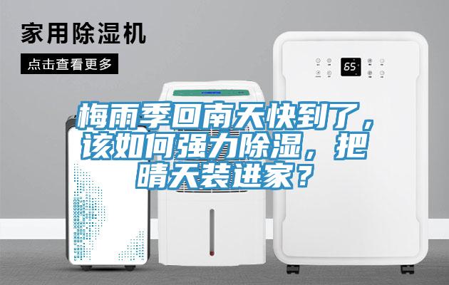 梅雨季回南天快到了，該如何強(qiáng)力除濕，把晴天裝進(jìn)家？