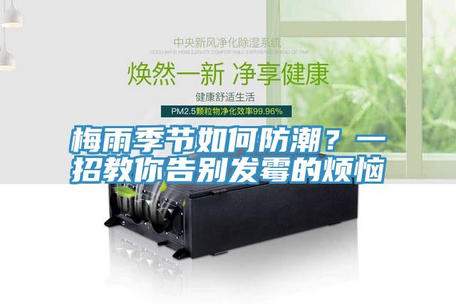 梅雨季節(jié)如何防潮？一招教你告別發(fā)霉的煩惱