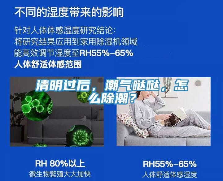 清明過后，潮氣噠噠，怎么除潮？