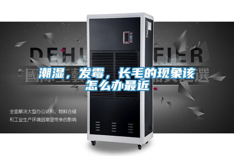 潮濕，發(fā)霉，長(zhǎng)毛的現(xiàn)象該怎么辦最近
