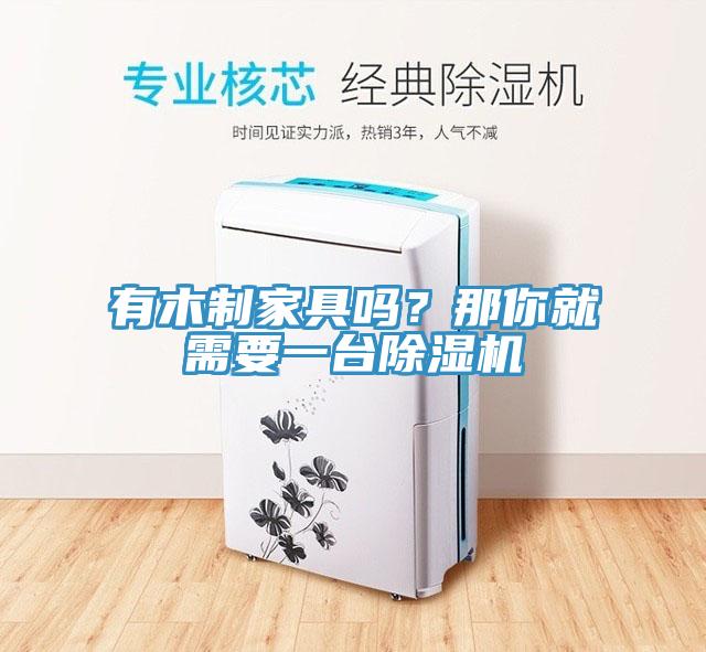 有木制家具嗎？那你就需要一臺(tái)除濕機(jī)