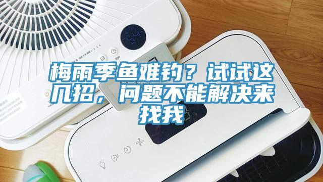 梅雨季魚(yú)難釣？試試這幾招，問(wèn)題不能解決來(lái)找我