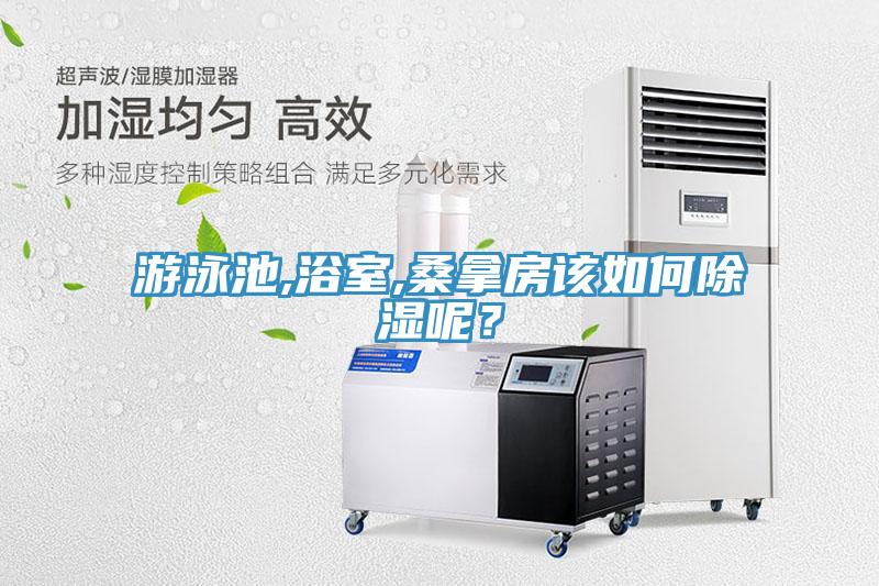 游泳池,浴室,桑拿房該如何除濕呢？
