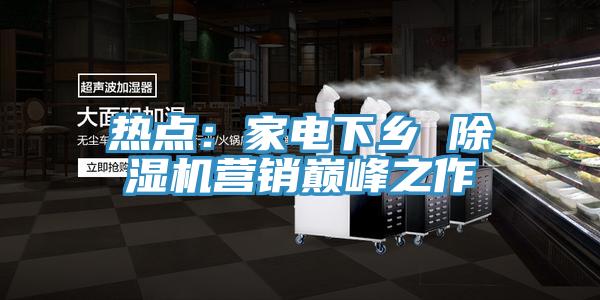 熱點：家電下鄉(xiāng) 除濕機營銷巔峰之作