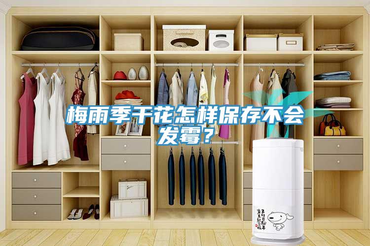 梅雨季干花怎樣保存不會(huì)發(fā)霉？