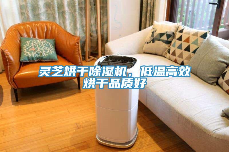 靈芝烘干除濕機(jī)，低溫高效烘干品質(zhì)好