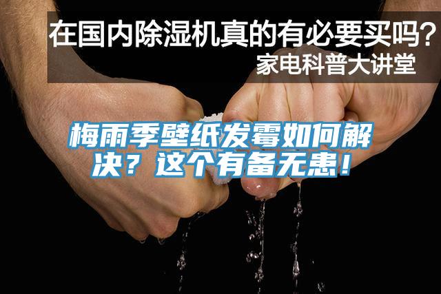 梅雨季壁紙發(fā)霉如何解決？這個有備無患！