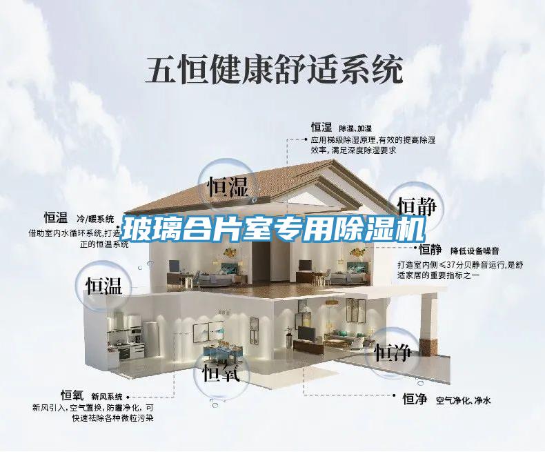 玻璃合片室專用除濕機