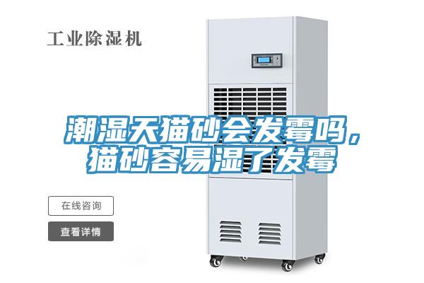 潮濕天貓砂會(huì)發(fā)霉嗎，貓砂容易濕了發(fā)霉