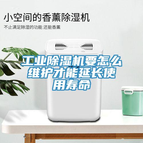 工業(yè)除濕機要怎么維護才能延長使用壽命