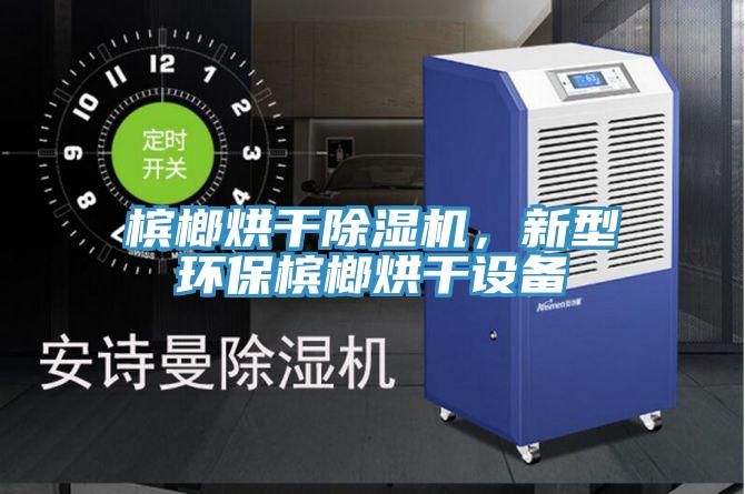 檳榔烘干除濕機(jī)，新型環(huán)保檳榔烘干設(shè)備