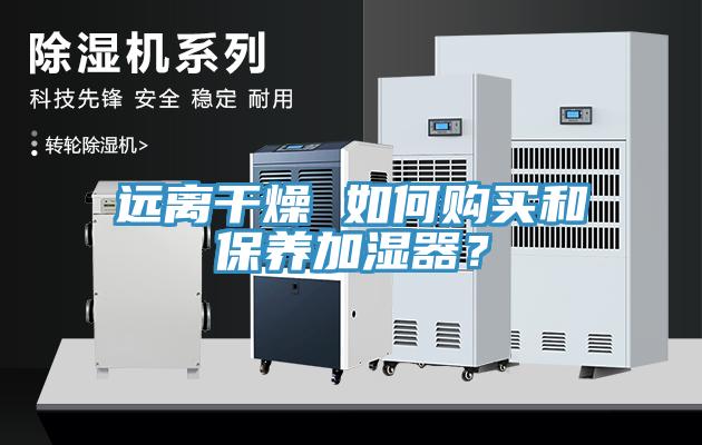 遠(yuǎn)離干燥 如何購買和保養(yǎng)加濕器？