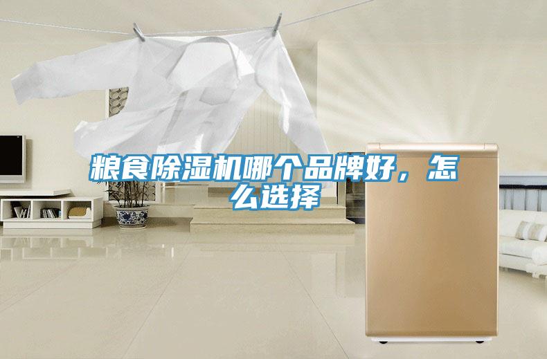 糧食除濕機(jī)哪個品牌好，怎么選擇