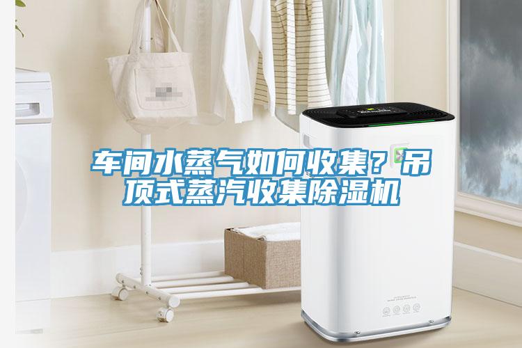 車間水蒸氣如何收集？吊頂式蒸汽收集除濕機(jī)