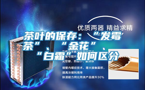 茶葉的保存：“發(fā)霉茶”、“金花”、“白霜”如何區(qū)分