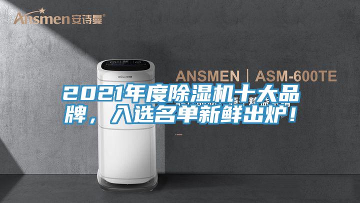 2021年度除濕機(jī)十大品牌，入選名單新鮮出爐！
