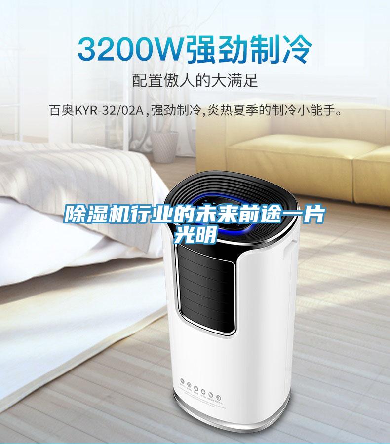 除濕機(jī)行業(yè)的未來前途一片光明