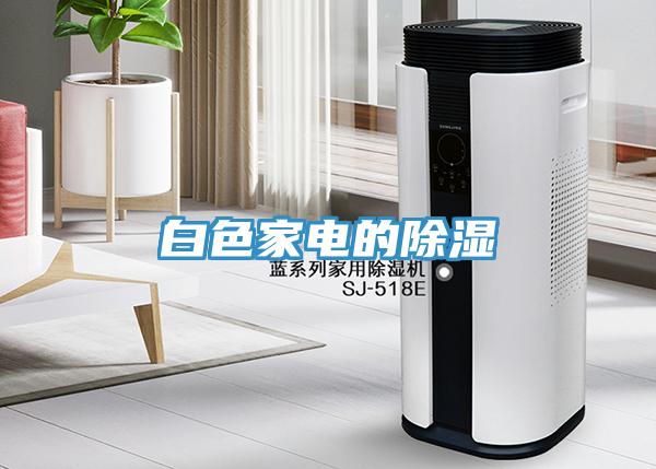 白色家電的除濕